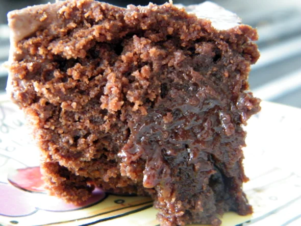 Lovely Brownies 10 DSCF29721