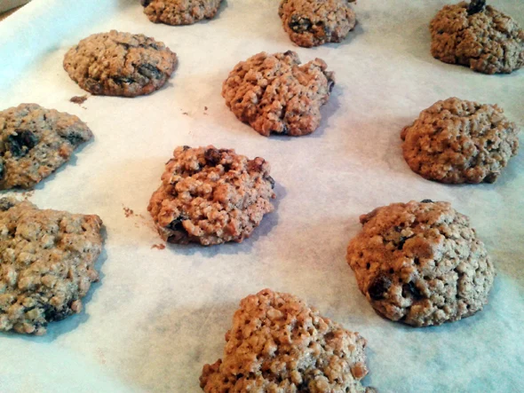 haverrozijnenkoekjes1 haverrozijnenkoekjes1