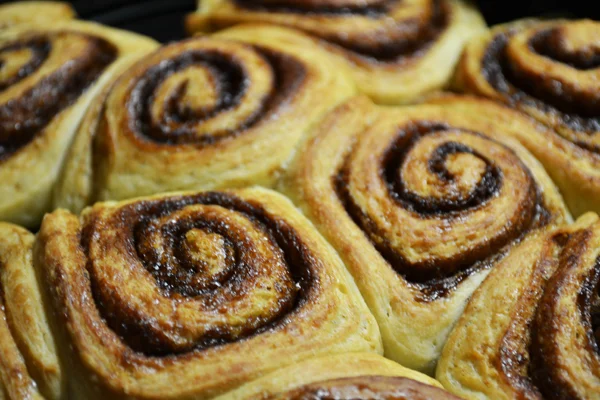 cinnabuns cinnabuns2