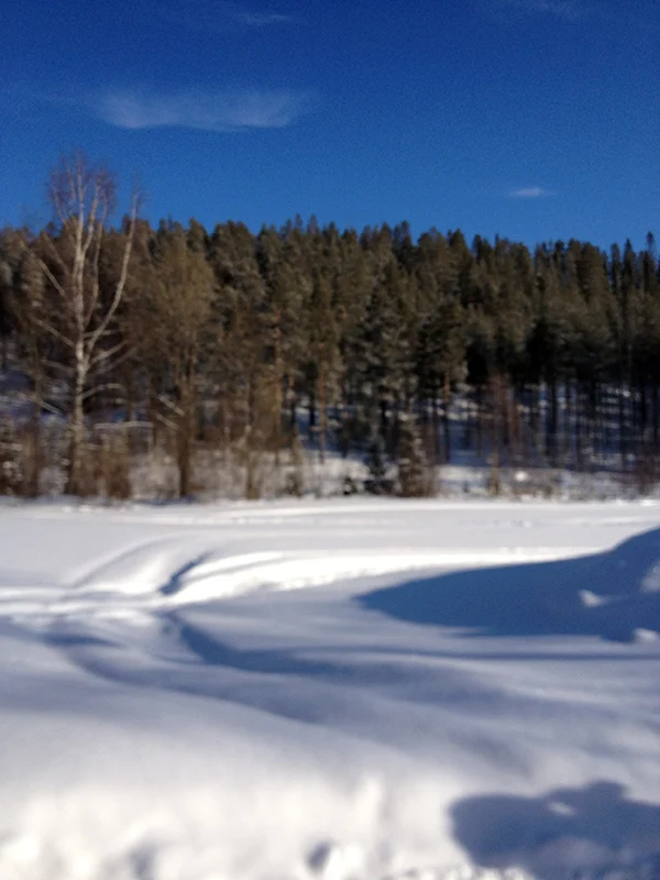 In Zweeds Lapland met Barbecook: dag 3 & 4 2 Zweden Barbecook