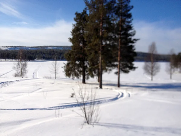 In Zweeds Lapland met Barbecook: dag 3 & 4 3 Zweden Barbecook