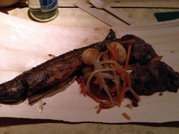 Foodie in Zweeds Lapland 4 vis en rendier