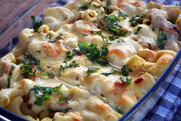 Drie kazen ovenpasta met pittig vlees 3 3 kazen ovenpasta