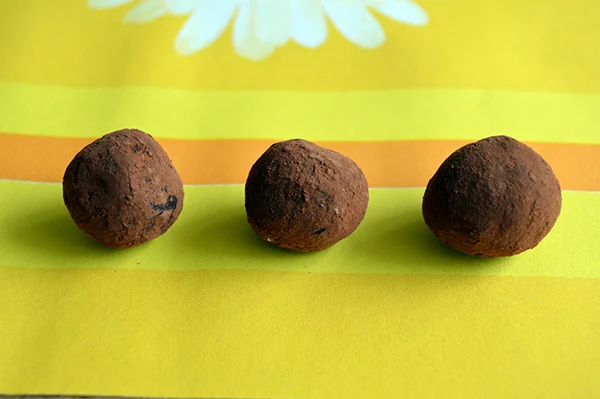 Sanne's pure chocoladetruffels 1 pure chocoladetruffels