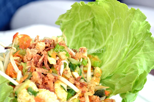 Thaise kipsalade 3 thaise kipsalade