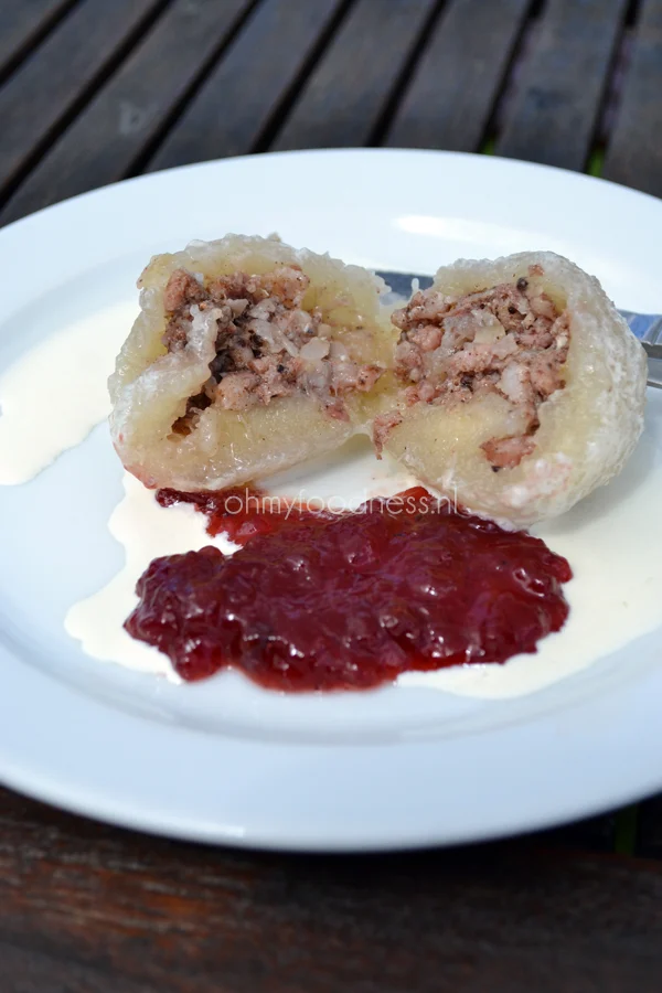 Foodie in Zweden 17 dumplings