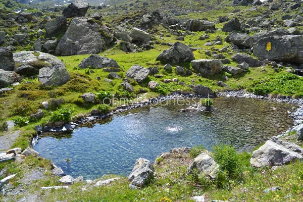Verslag persreis Paznauntal Oostenrijk 9 persreis oostenrijk10