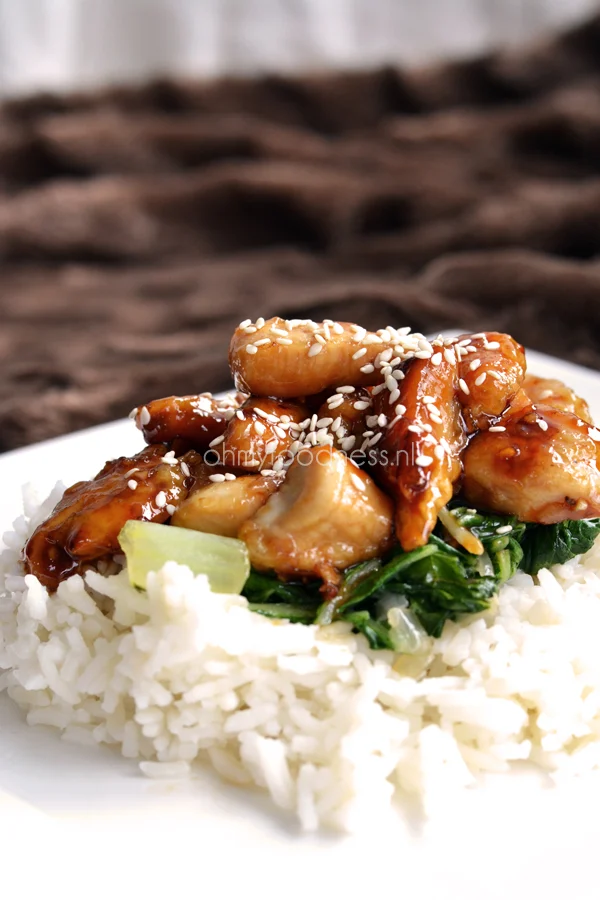 OMF Takeaway: Sesamkip 2 sesamkip