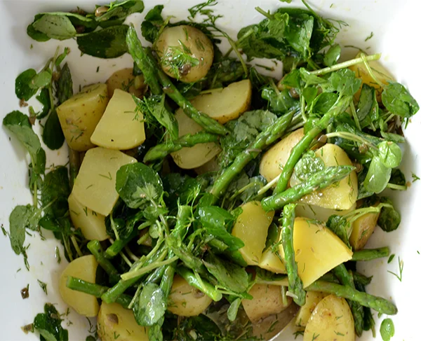 Aardappelsalade met groene asperges 15 aardappelsalade met groene asperges