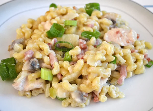 Eenpansgerecht - Pasta met kip 22 pasta