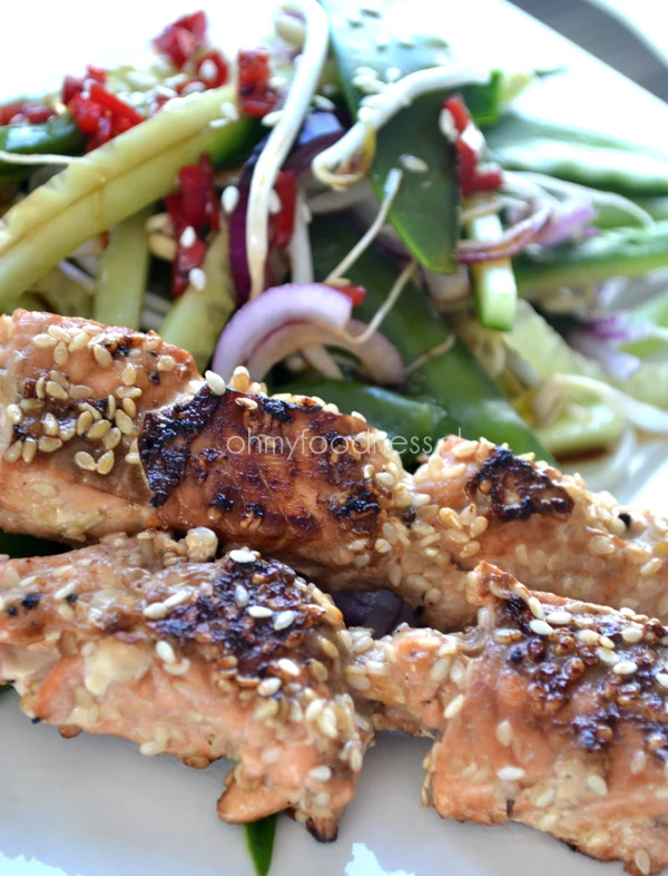 Snelle zalmspiesjes 1 snelle zalmspiesjes