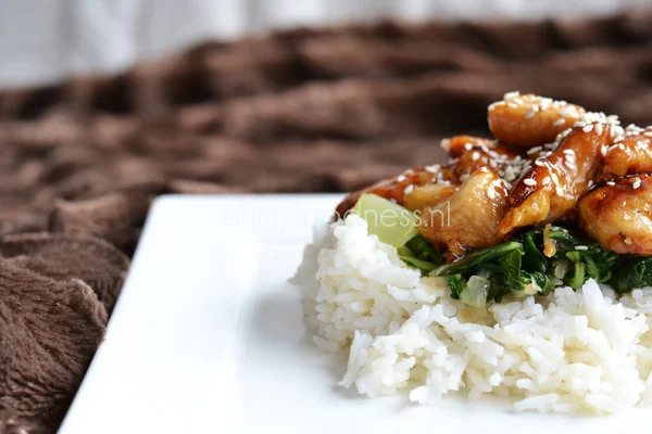 OMF Takeaway: Sesamkip 1 sesamkip