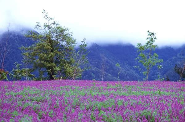 10 must visit culinaire bestemmingen 9 10 culinaire bestemmingen