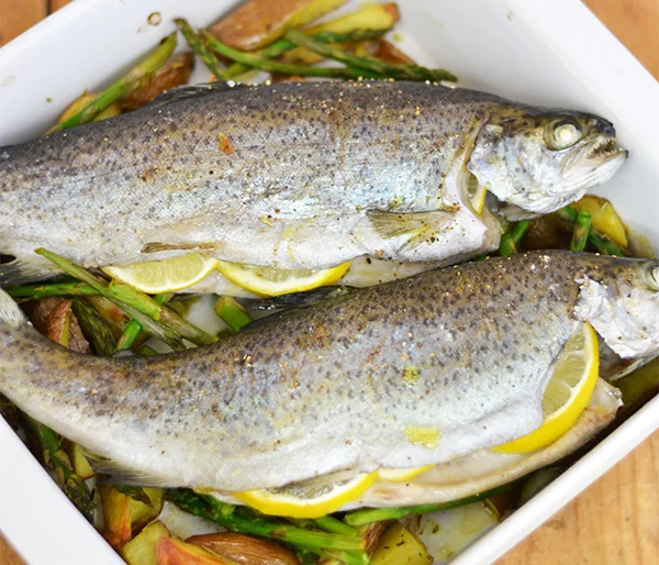 forel uit de oven