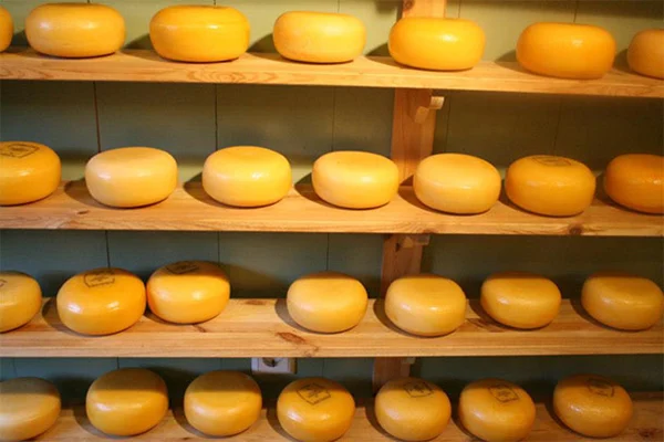 Travel Tuesday: 5x leuke foodtours 5 Amsterdam Food by Foot