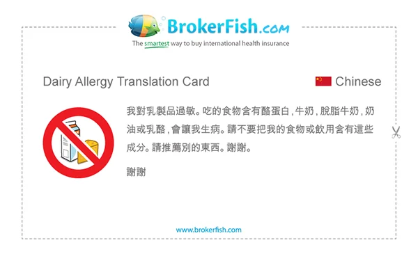 Travel Tuesday: Allergiekaartjes 8 lactose_chinees