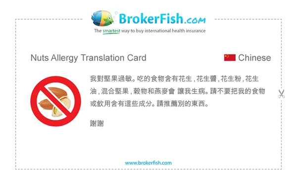 Travel Tuesday: Allergiekaartjes 2 Allergiekaartje