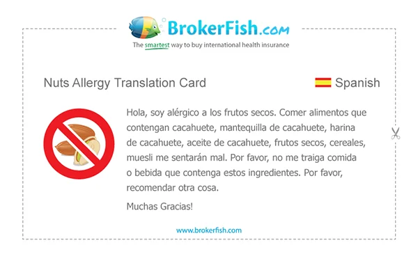 Travel Tuesday: Allergiekaartjes 1 Allergiekaartje