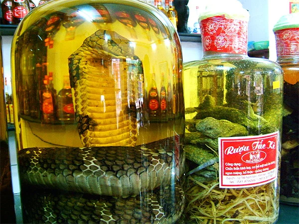 Travel Tuesday: De meest bizarre delicatessen 2 snake wine