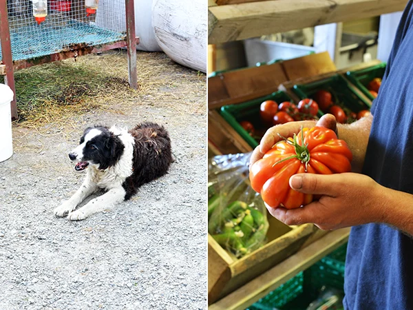 Snapshot Diary Stavanger #3 4 foto 4