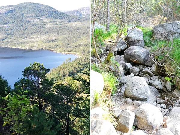 Snapshot Diary Stavanger #2 4 foto 5