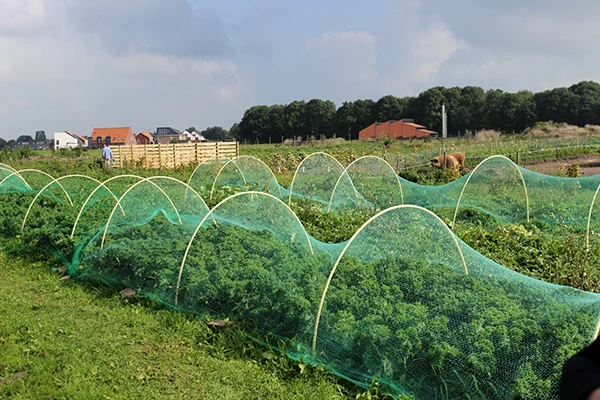 Travel Report: Culinair Friesland #2 1 Asum
