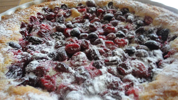 Cranberrytaart van Arja 1 cranberrytaart