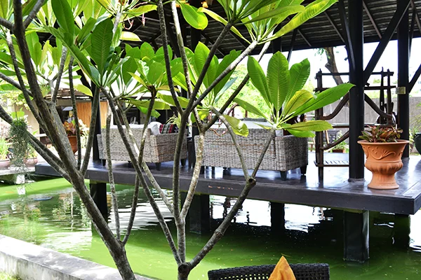 Snapshot Diary Thailand #3 4 snapshot_diary_thailand3-4