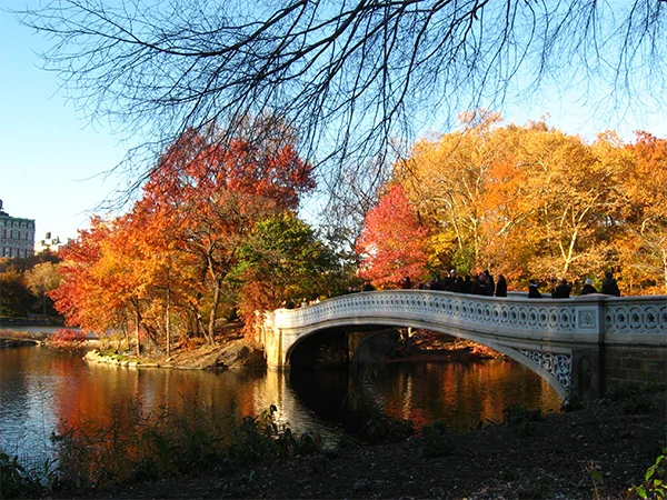 5 mooie stadsparken in de herfst 1 Central Park