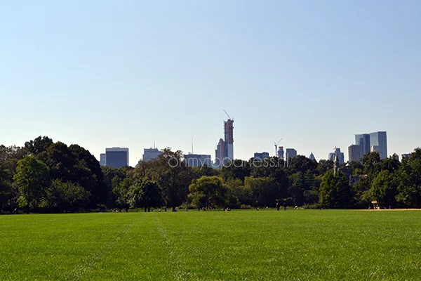 Zo haal je het meeste uit New York 2 Central Park
