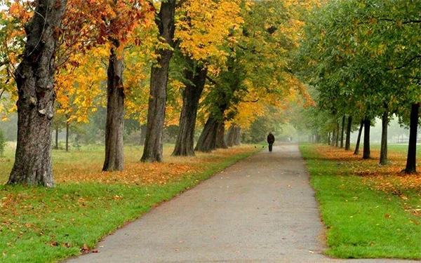 5 mooie stadsparken in de herfst 4 Hyde Park