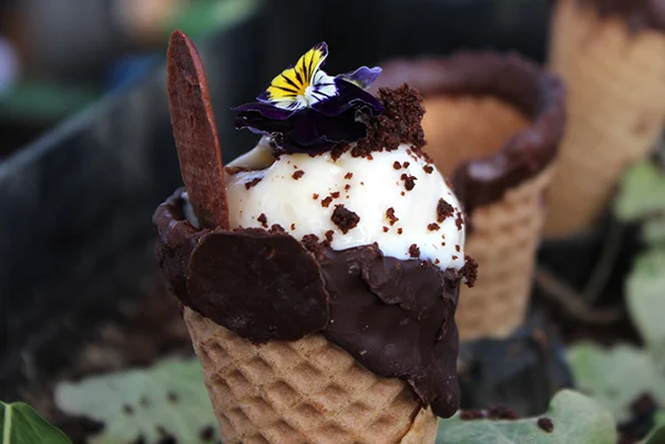 Foodie in Friesland 8 Leeuwarden Culinair - By Us