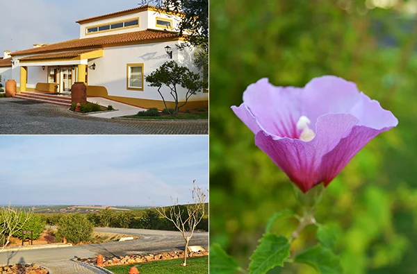 Travelreport Alentejo #1 - Dag 1 1 Travelreport Alentejo