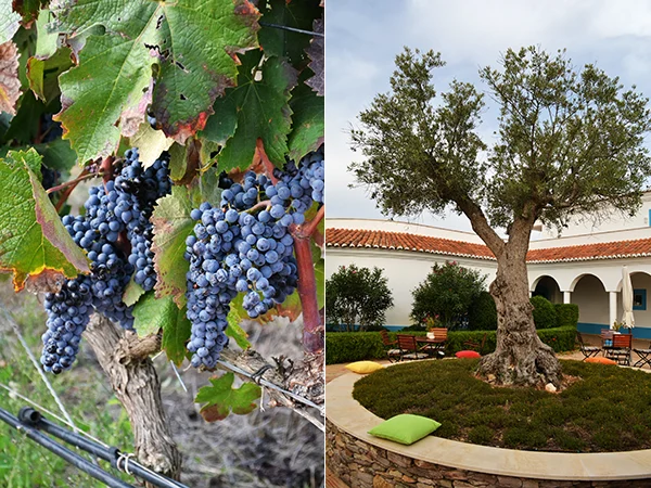 Travelreport Alentejo #1 - Dag 1 2 Travelreport Alentejo