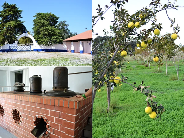 Travelreport Alentejo #2 - Dag 2 en 3 9 Travelreport Alentejo