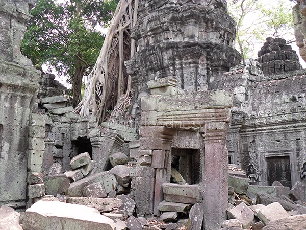 Magisch mooi: Angkor 3 Angkor