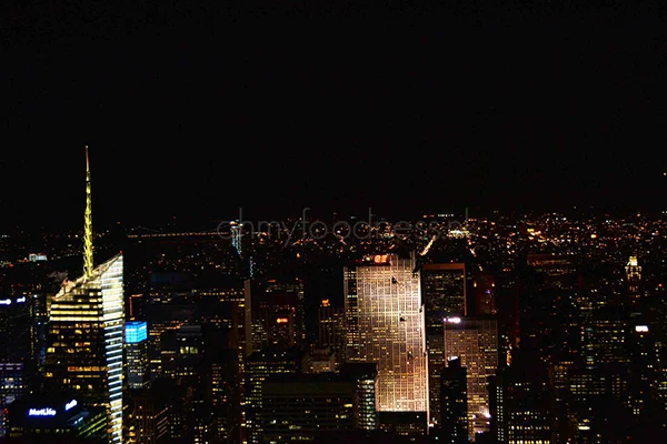 Top of the Rock vs. Empire State Building 1 Empire State Building