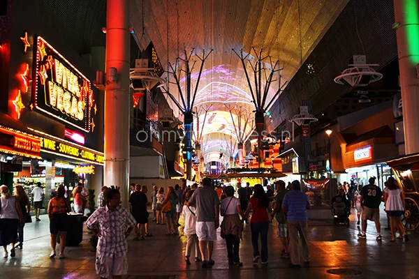 Wat te doen in Las Vegas? 9 Wat te doen in Las Vegas