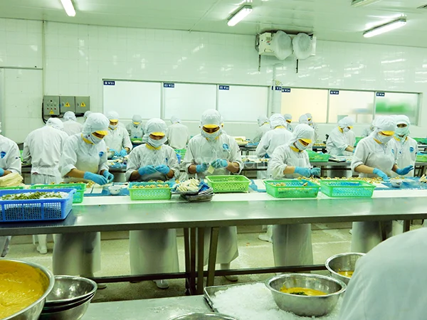 Alles over de Panga van Queens 4 Panga van Queens