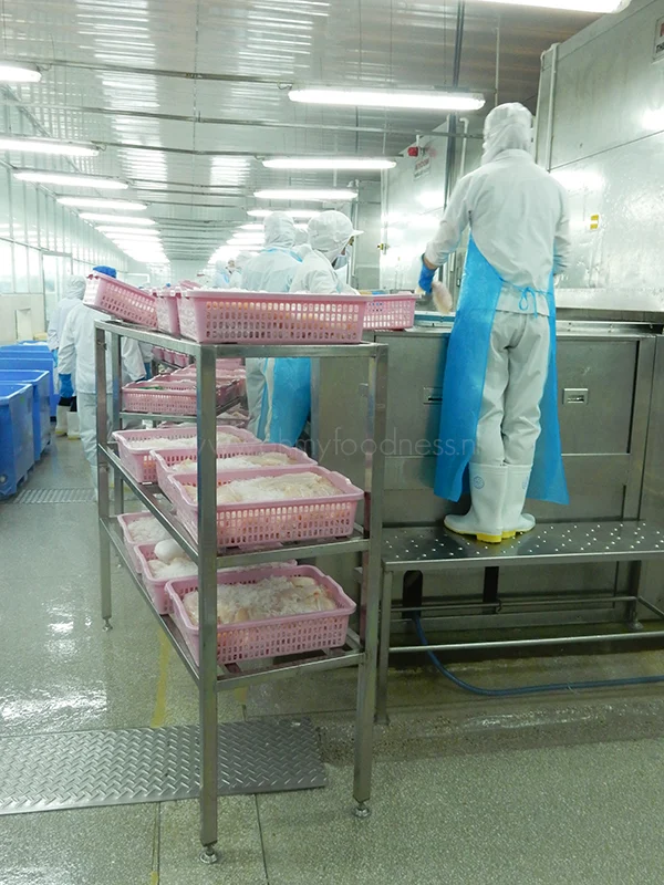 Alles over de Panga van Queens 7 Panga van Queens