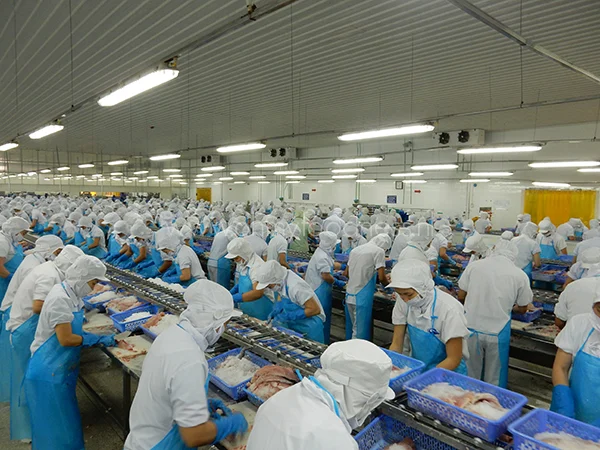 Alles over de Panga van Queens 5 Panga van Queens