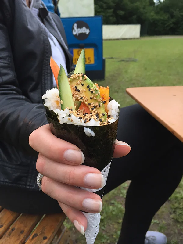 Snapshot Diary: Efteling Midzomernacht 5 foto5