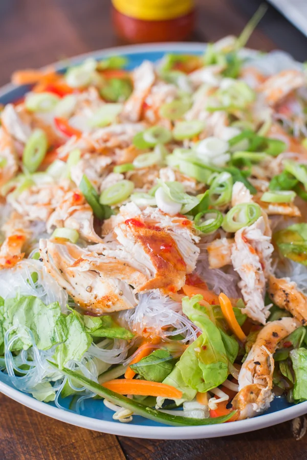 Vietnamese Springroll salade 1 Vietnamese springroll salade