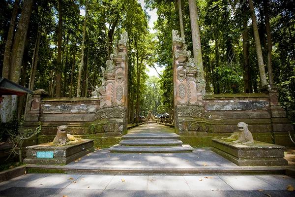 Mijn uiteindelijke Bali Bucketlist 3 Monkey Forest