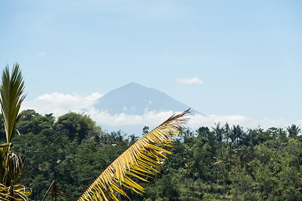 Bali in Beeld 81 Bali in beeld