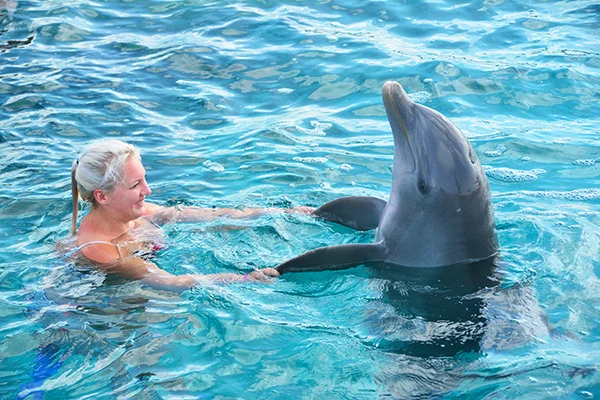 OMF op Curaçao #3 2 foto9