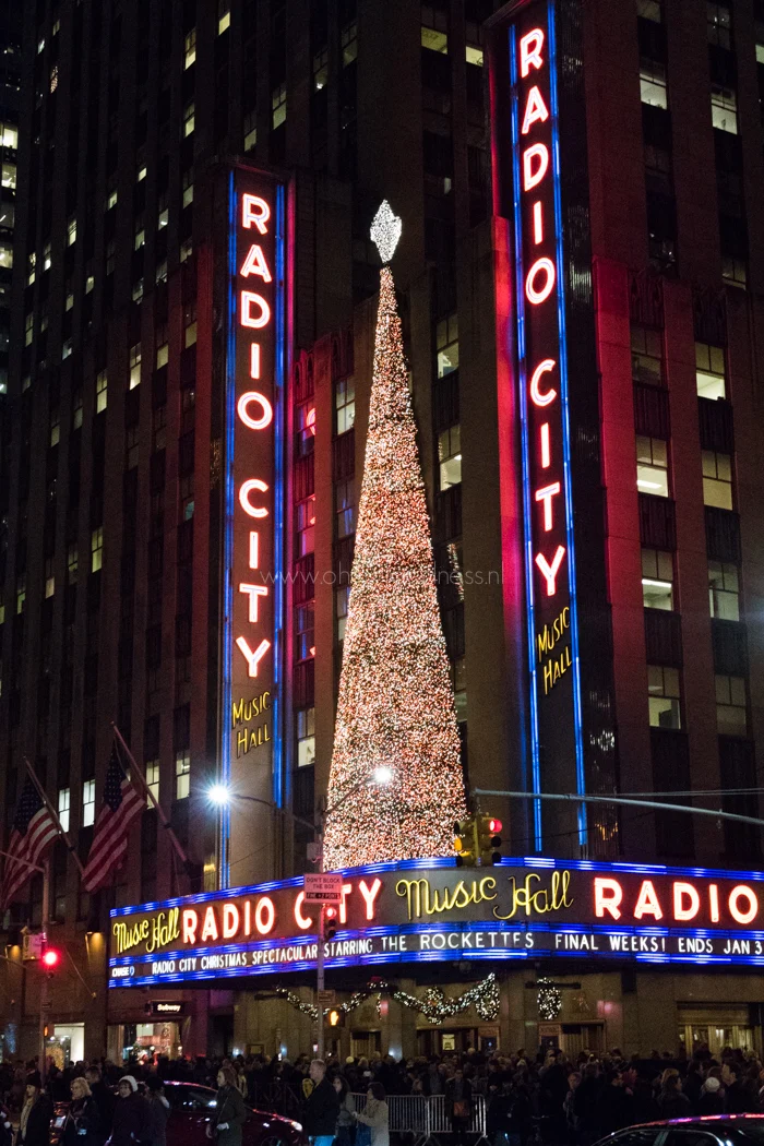 New York citytrip 2015 - Onze highlights 1 New York citytrip: Onze highlights