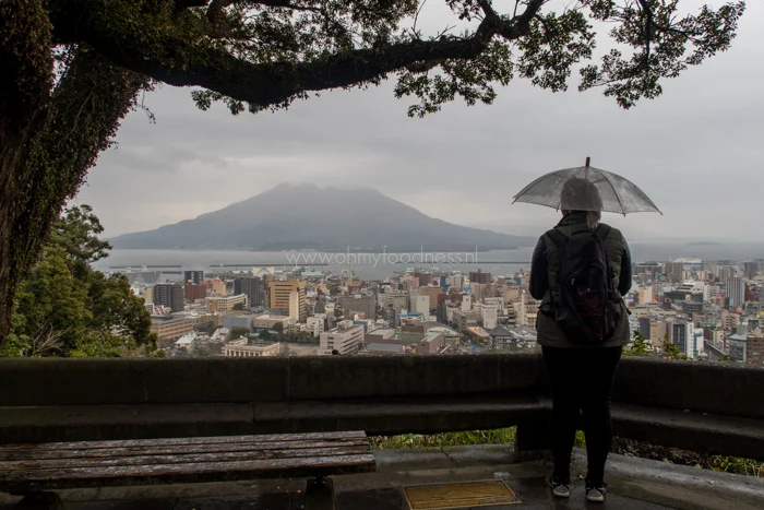 OMF in Japan dag 4 & 5: Viewpoints 18 foto18