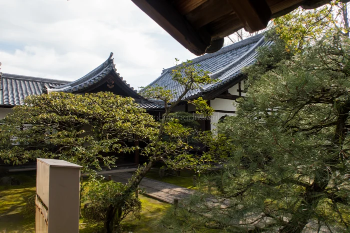 OMF in Japan dag 3: Een stukje cultuur 6 foto5