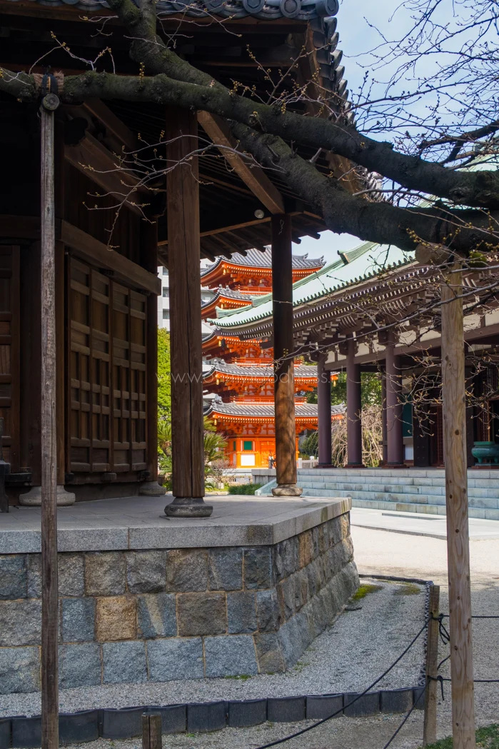 OMF in Japan dag 3: Een stukje cultuur 8 foto7